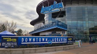 Downtown Aquarium Tour Denver CO Part