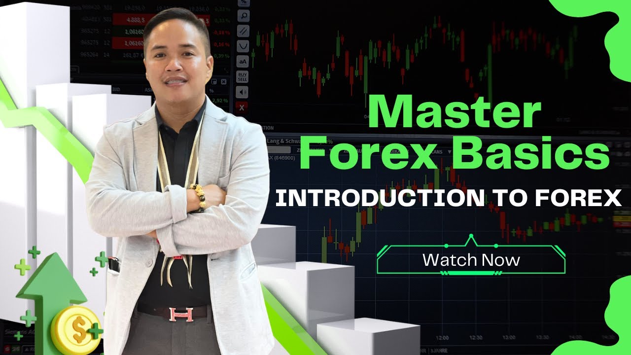 INTRODUCTION TO FOREX TRADING - MASTER FOREX BASICS - YouTube