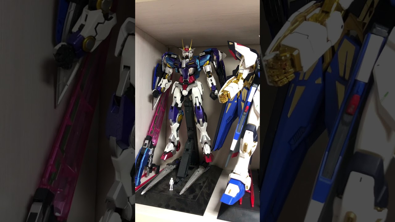 My newbie Pg Gundam collection so far 