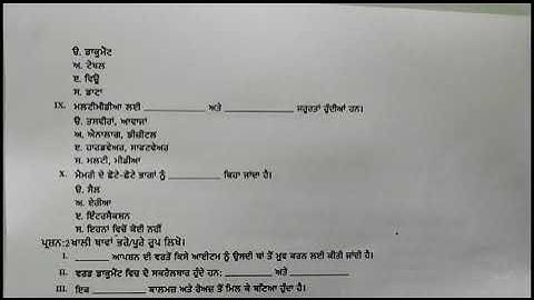PSEB Class 7th Computer Science Preboard Question Paper 2023-24