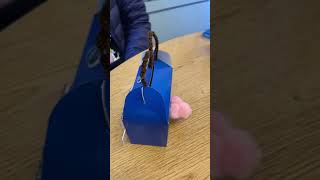 Microbit Pet Ka