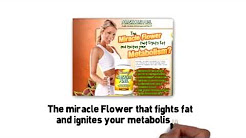 Q contiene garcinia cambogia picture 9