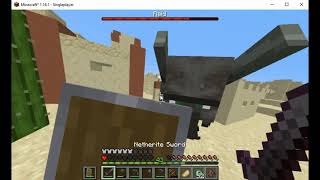 Celebrity minecraft: raid on normal difficulty Net Worth