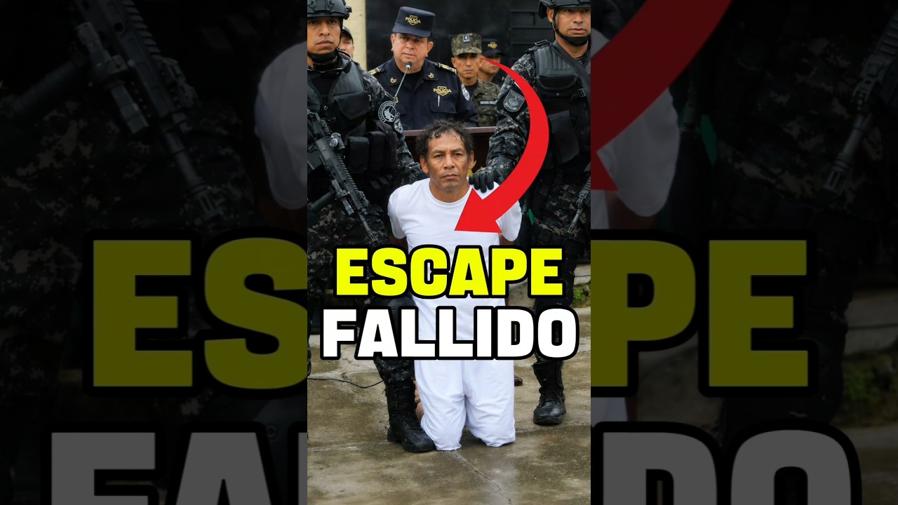Original Title & Thumbnail