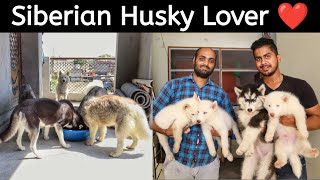 Die Heart Siberian Husky Lover | Siberian Husky | White Husky