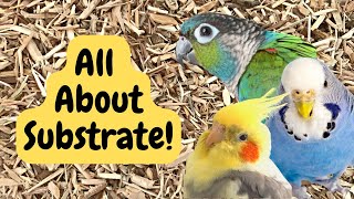 Substrate for Bird Cages! | BirdNerdSophie AD