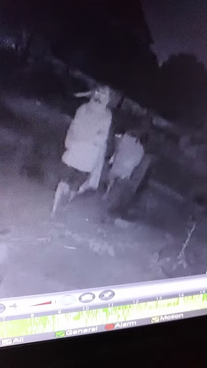 the real chor at night capture in cctv camera