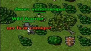 Tibia Guerreiro Virgem