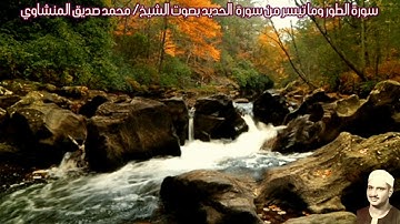 سورة الطور وما تيسر من سورة بصوت الشيخ/ محمد صديق المنشاوي