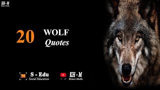 20 Wolf Quotes that are on another level!!  _ Motivation Hub