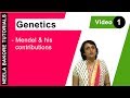 Genetics - Mendel & his contribution