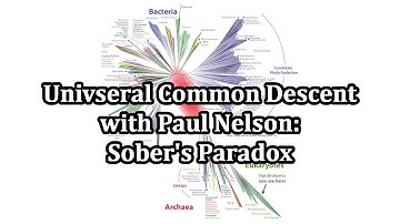 Universal Common Descent with Paul Nelson: Sober