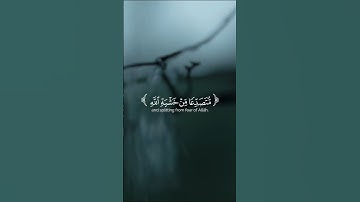 #ولا تكونو كالذين نسو الله فانساهم  #ياسر الدوسري #سورة الحشر ##اكتب_شي_تؤجر_عليه  #راحة_نفسية