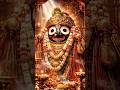 Jai Jagannath 🙏✨ | Divine Blessings of the Lord #shorts #bhakti #youtubeshorts