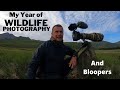 MY YEAR OF WILDLIFE PHOTOGRAPHY MOMENTS & BLOOPERS | HAPPY CHRISTMAS & NEW YEAR FOR 2022