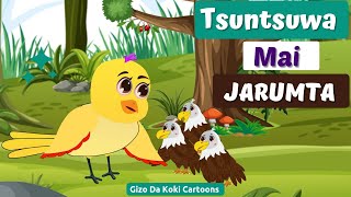 Labarin Yar Tsuntsuwa Mai Jarumta - Gizo Da Koki Cartoons