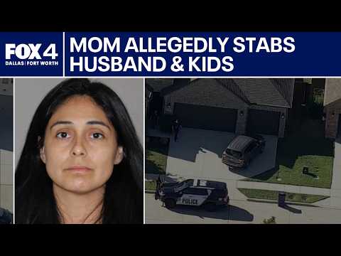 Northlake mom stabbed husband and kids, police say