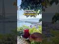 İstanbul Un En Güzel Manzaralı çay Bahçesi Burası Olabilir İstanbul Un En Güzel Manzaralı çay Bahçesi Burası Olabilir