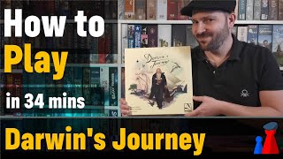 How to play Darwin's Journey boardgame - Full teach + Visuals - Peaky Boardgamer