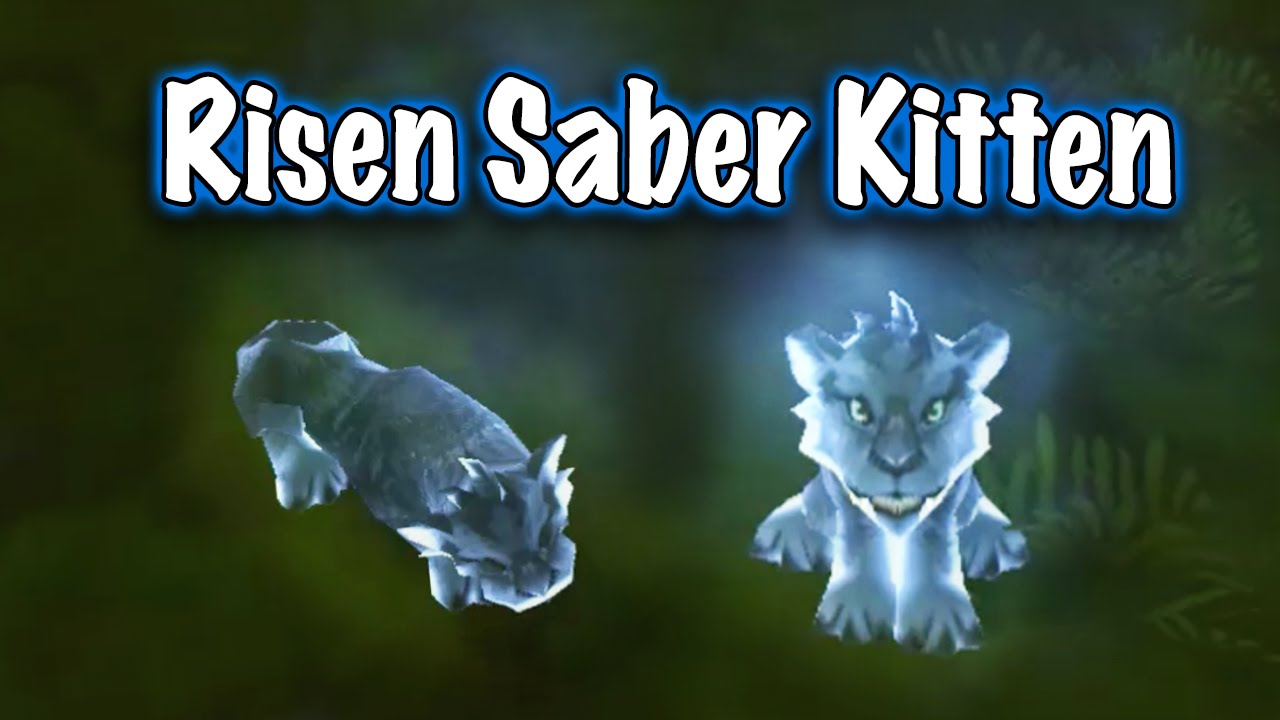Jessiehealz - Risen Saber Kitten Pet Guide (Legion Beta)