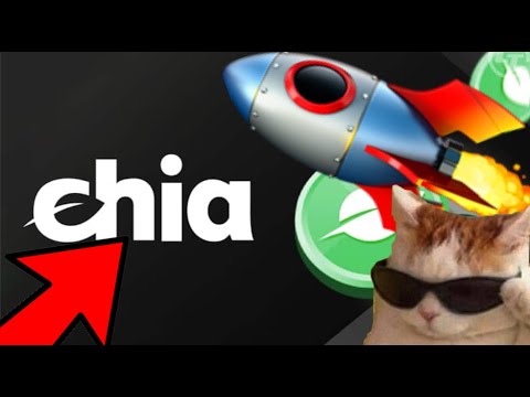 XCH ГОТОВИТСЯ К ИКСАМ? CHIA СКОРО ОБЪЯВИТ ОБ УСПЕШНОМ IPO