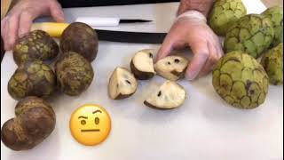 Cherimoya - What is it and how to eat it!