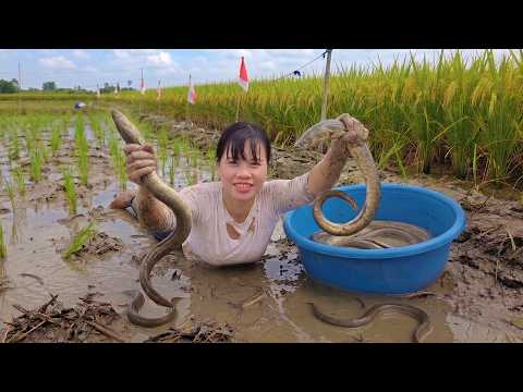 Catching Fish and Eels in the Fields – Everything Sold Out at the Market!