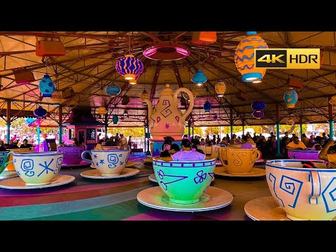 Mad Tea Party Tea Cups Disney World | Prince Charming Regal Carousel Ride