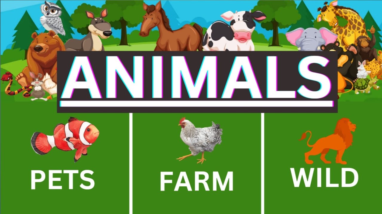 ANIMAL names | Wild animals | farm animals - YouTube