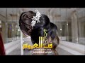 جديد جنات 2019 اخدت قرار بدون موسيقى اغنيه كوشه 0554874029 