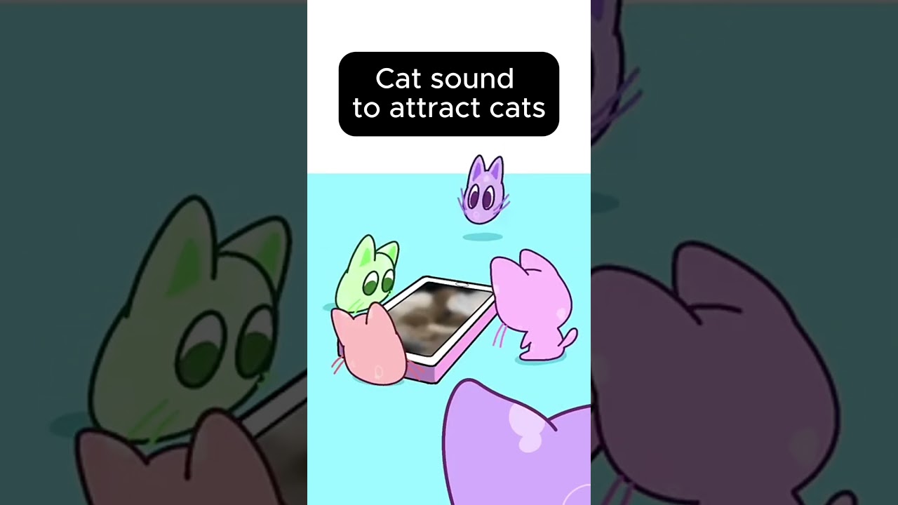 Cat sound to attract cats