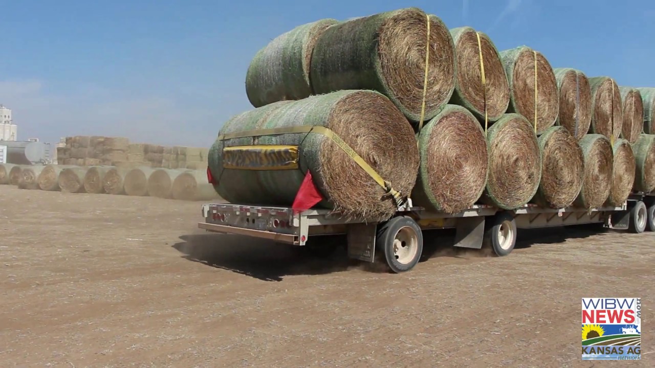 Ashland, Kansas business owner talks wildfire relief efforts YouTube