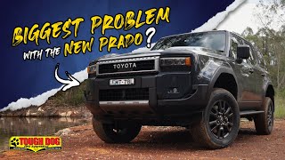 First 1,000km UPDATE! What did we find!? | 250 Prado LandCruiser