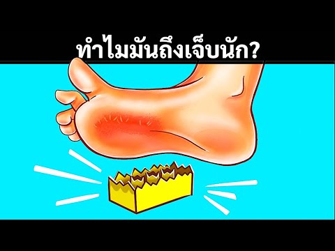 วีดีโอ: โครงสร้างมัลติฟังก์ชั่นของต่อมน้ำเหลืองของมนุษย์