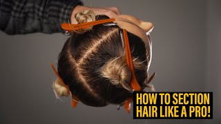 SECTIONING | Learn How To Section Hair Like a Pro! - YouTube