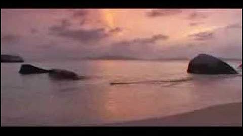 الشيخ ادريس أبكر - ما تيسر من سورة الأنعام