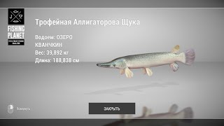 Fishing Planet - Как и где ловить Аллигаторовую Щуку? (Озеро Кванчкин)