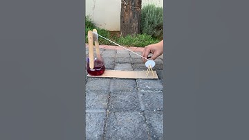 Pulley System