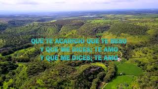 EL TIGRILLO PALMA -       YO HE DE SEGUIRTE QUERIENDO - LYRICS