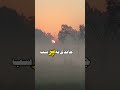    ج ند گالی بنڑ سوالی 