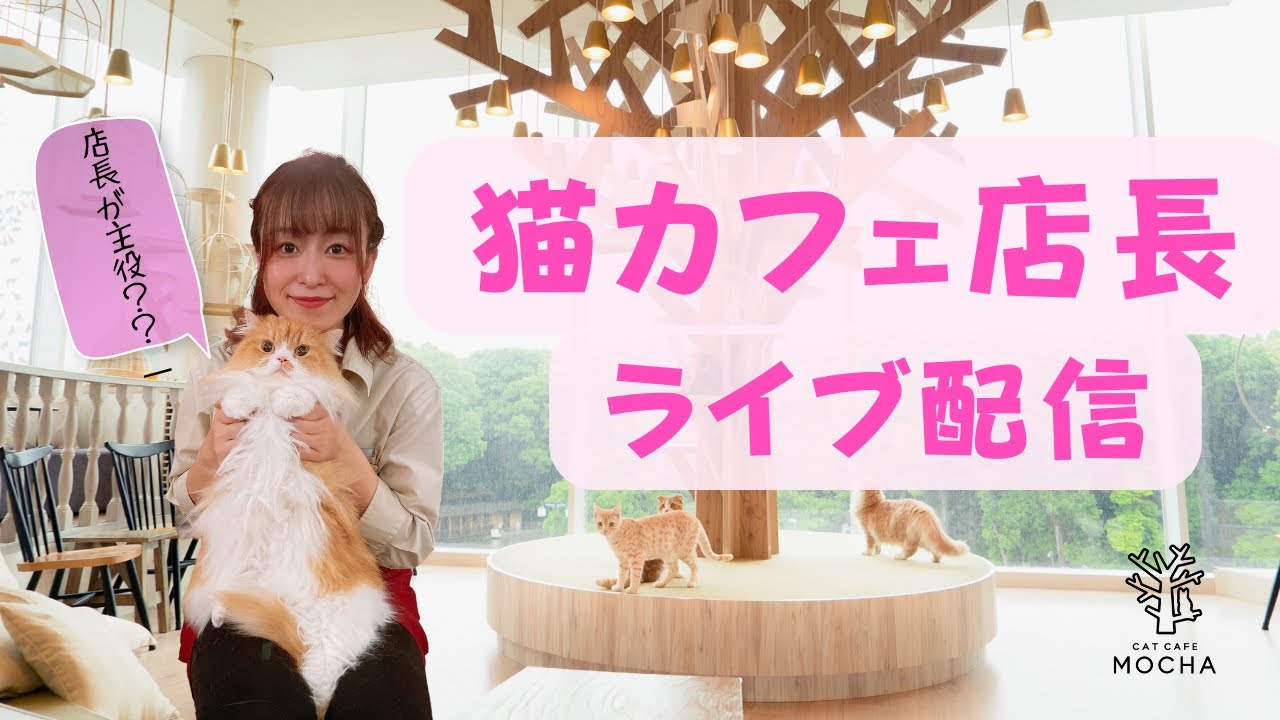 初見さん大歓迎】店長のこんちゃんとまったり雑談ライブ✨2/26 part1