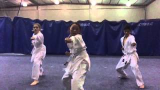 Celebrity White Belt Kata Wealth