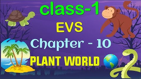 #Class1||EVS ||Chapter-10||Plant World ||Cordova smart learning ||by Vijyoaccounts (Hindi & English)