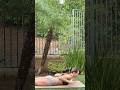 #fullbodyworkout #bodyweighttraining #homeworkout #shorts
