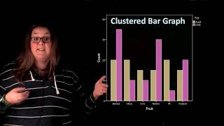 Clustered Bar Graphs