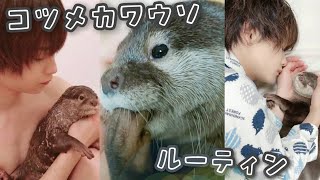 コツメカワウソの日ルーティンに密着~Otter routine~