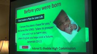 God Had a Plan