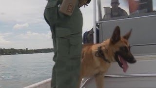 Texas Game Wardens K-9 helps recover dozens of bodies each year | 7/2019