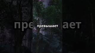 Во Вселенной может быть больше планет, чем звёзд! #факт #факты #хочуфакты