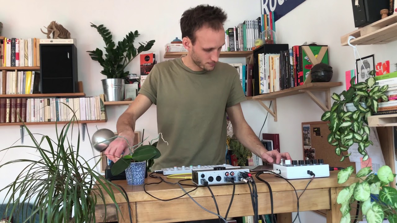 Instant jungle intérieur